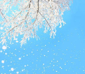 winter background