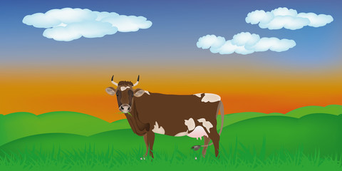 Dairy cow over summer green meadow.The rural landscape