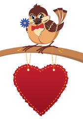 sparrow in love, postcard