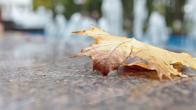Autumn season is begining