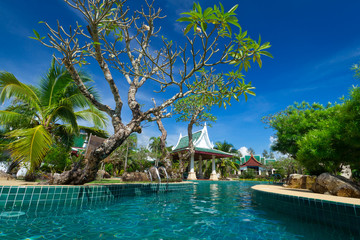 Tropical swimming pool in Thailand