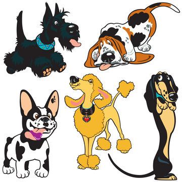 set with cartoon dogs