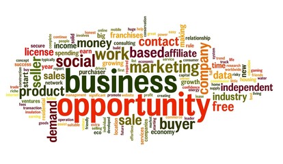 Business opportunity concept in word tag cloud