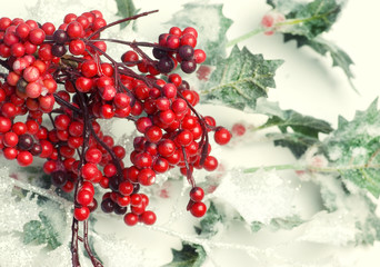 red berry branches