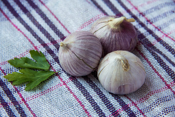 handful of small garlic on towel