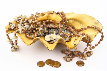 The coins in shell
