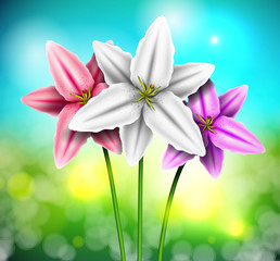 Natural background with lilies