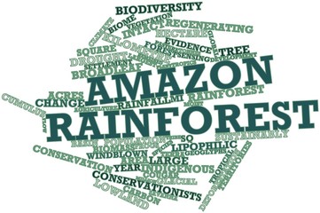 Word cloud for Amazon rainforest