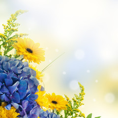 Bouquet from blue hydrangeas and yellow asters - 47342835