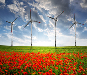 red poppy field with wind turbine