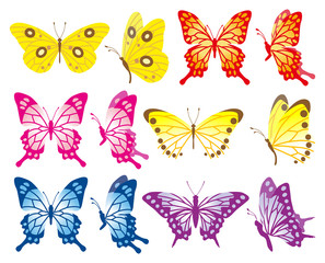 Ensemble de variétés de papillons