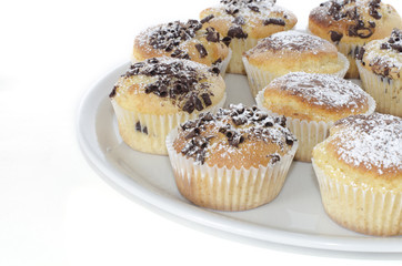 chocolate muffins