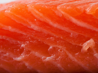 Trout crude with salad pepper and olive oil