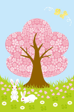 Spring meadow