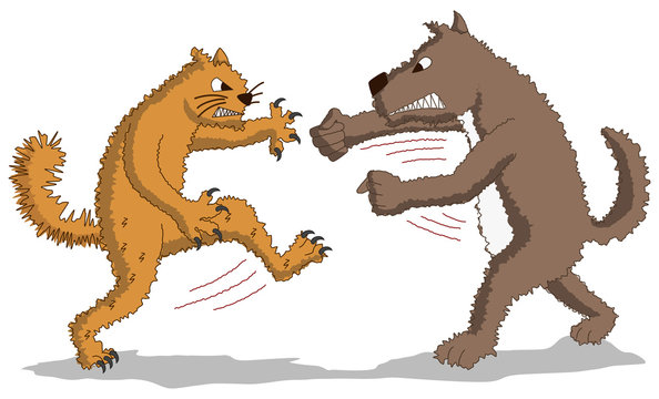 Cat versus Dog - Fight
