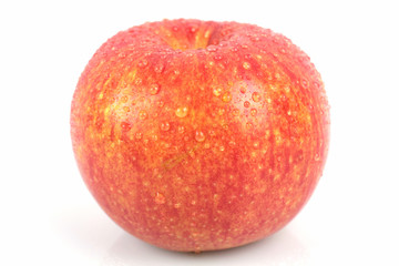 Apfel Jonagold