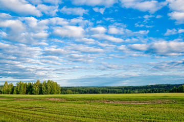 field and sky