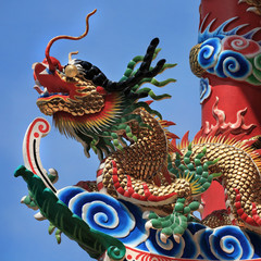 Fototapeta premium Golden dragon