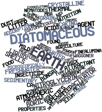 Word cloud for Diatomaceous earth