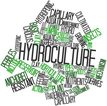 Word cloud for Hydroculture