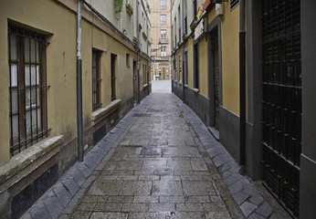 Old alley wet