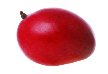 mango isolated on white background
