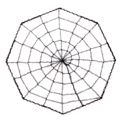 Obraz premium Spider Web isolated on white