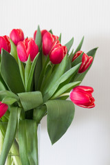 Bouquet of red tulips