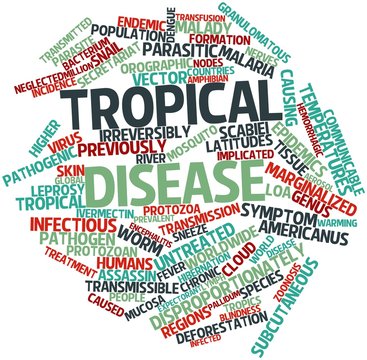 Word cloud for Tropical disease