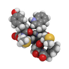 Cholecystokinin-8 (CCK8) peptide molecule, chemical structure