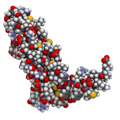 Vascular endothelial growth factor (VEGF-A) molecule, chemical s