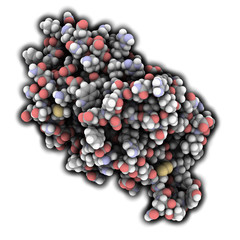 Interleukin 6 (IL-6) molecule, chemical structure