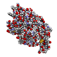 Interleukin 6 (IL-6) molecule, chemical structure