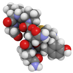 Oxytocin (cuddle hormone) molecule, chemical structure