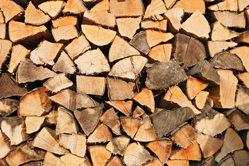 Woodpile stack of logs