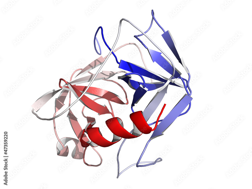 Poster prostate-specific antigen (psa), chemical structure