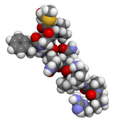 Substance P neuropeptide molecule, chemical structure.