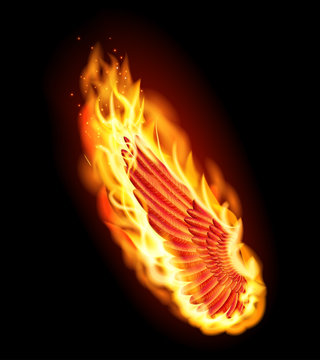 Left red wing on fire