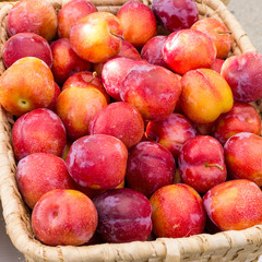 Fototapeta na wymiar Fresh plums displayed in a basket