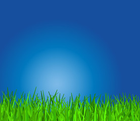 Obraz premium niebo i trawa