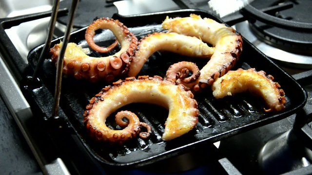Octopus vulgaris 참문어 &Aring;ttaarmade bl&auml;ckfiskar