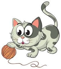a cat