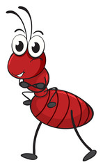 an ant