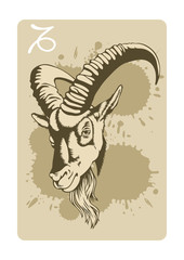 Capricorn