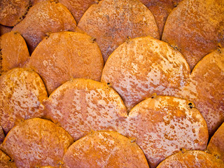 Rusty Metal Fish Scales