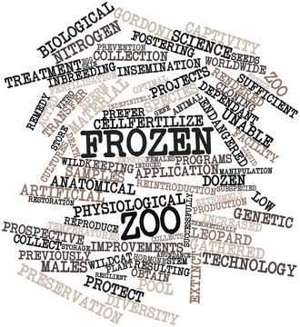 Word cloud for Frozen zoo