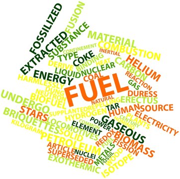 Word cloud for Fuel