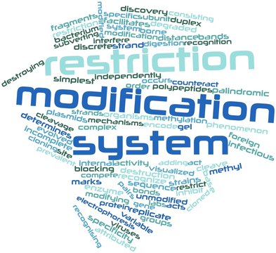 Word cloud for Restriction modification system