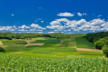 Beautiful green agricultural landscape in Croatia © xbrchx