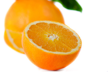 beautiful, ripe oranges